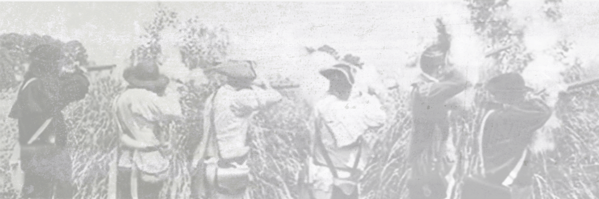 Historic Virginia background